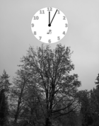 Probuzení (e-kniha)