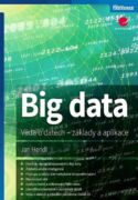 Big data (e-kniha)