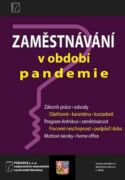 Zaměstnávání v období pandemie (e-kniha)