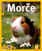 Morče - Správná péče - Rady odborníků - Také pro začátečníky