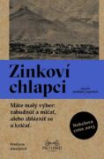 Zinkoví chlapci (e-kniha)