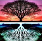 Diamantové malování Strom