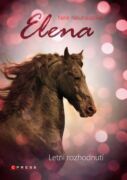 Elena: Letní rozhodnutí (e-kniha)
