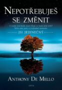 Nepotřebuješ se změnit (e-kniha)
