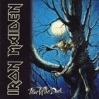 Fear Of The Dark (CD)