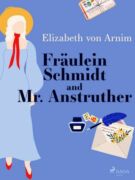 Fräulein Schmidt and Mr. Anstruther (e-kniha)