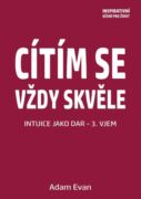 Cítím se vždy skvěle, Intuice jako dar 3. Vjem (e-kniha)